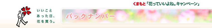 �o�b�N�i���o�[