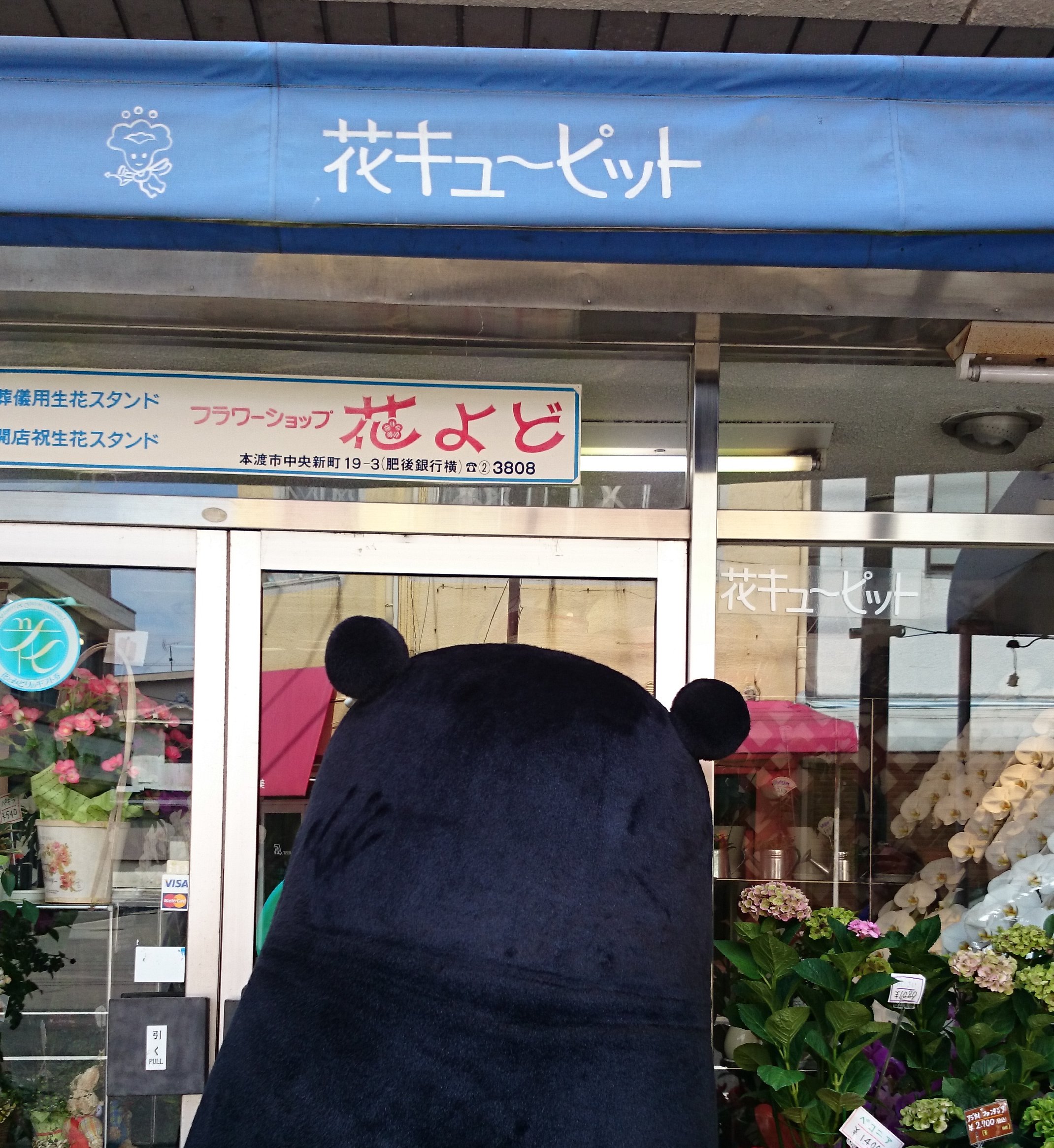 フラワーショップ花よど