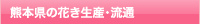 �F�{���̉Ԃ����Y�E����