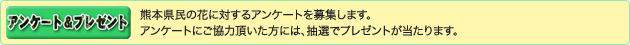 �A���P�[�g���v���[���g