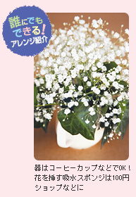 シンプルな美しさが魅力