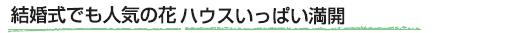 �������ł��l�C�̉ԁ@�n�E�X�����ς����J