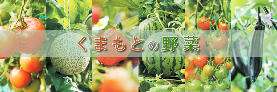 一般社団法人 熊本県野菜振興協会
